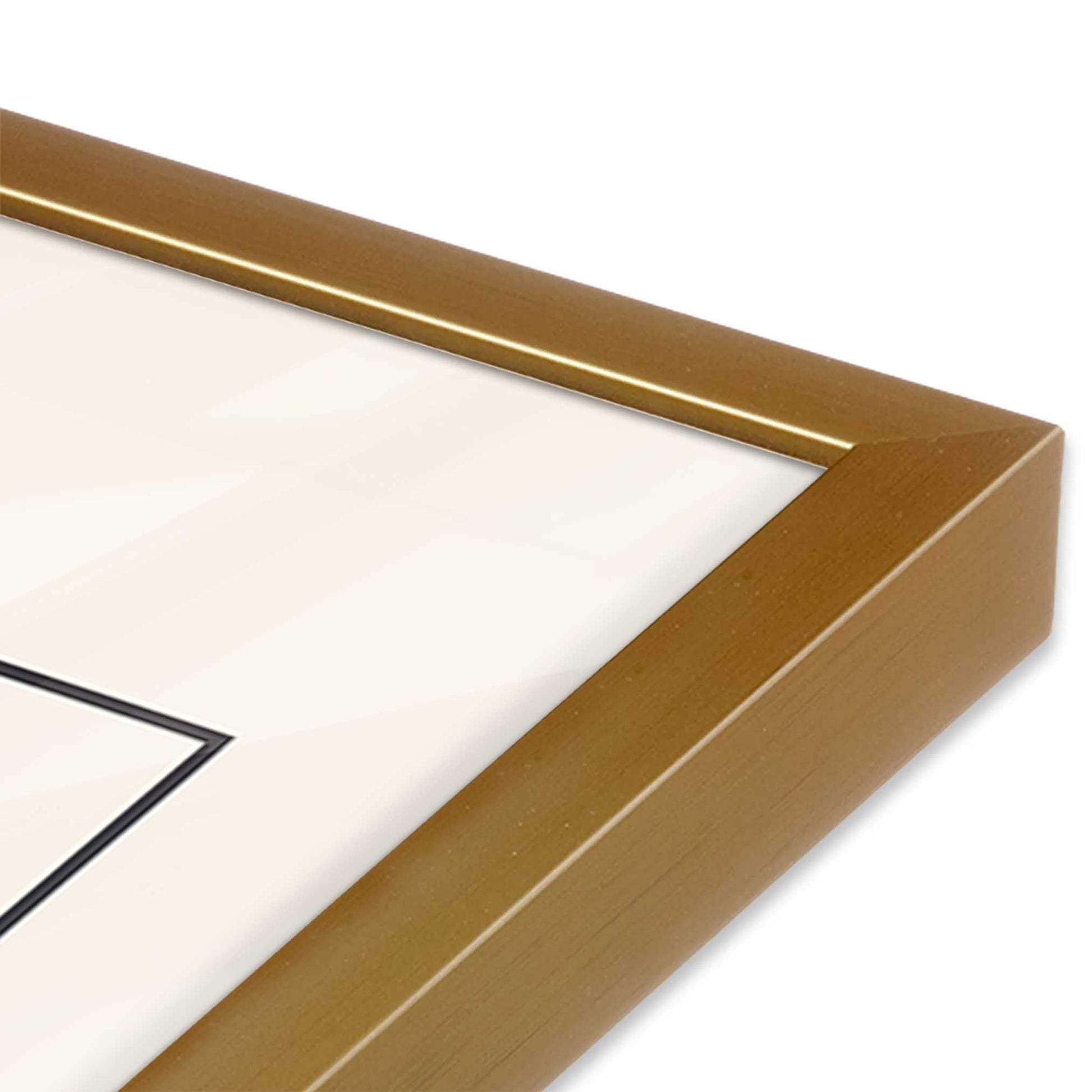 [Color:Polished Gold], Picture of art in a Polished Gold frame at an angle