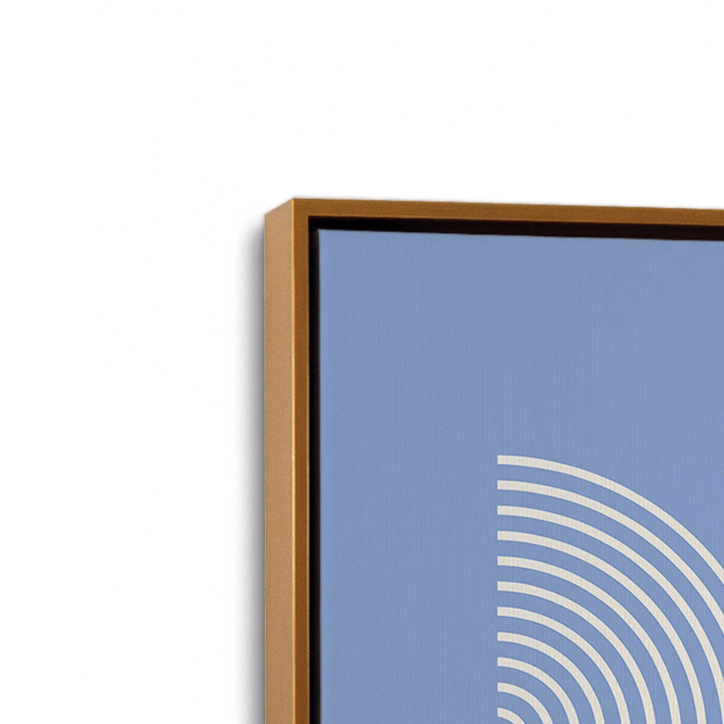 [Color:Polished Gold], Picture of art in a Polished Gold frame at an angle