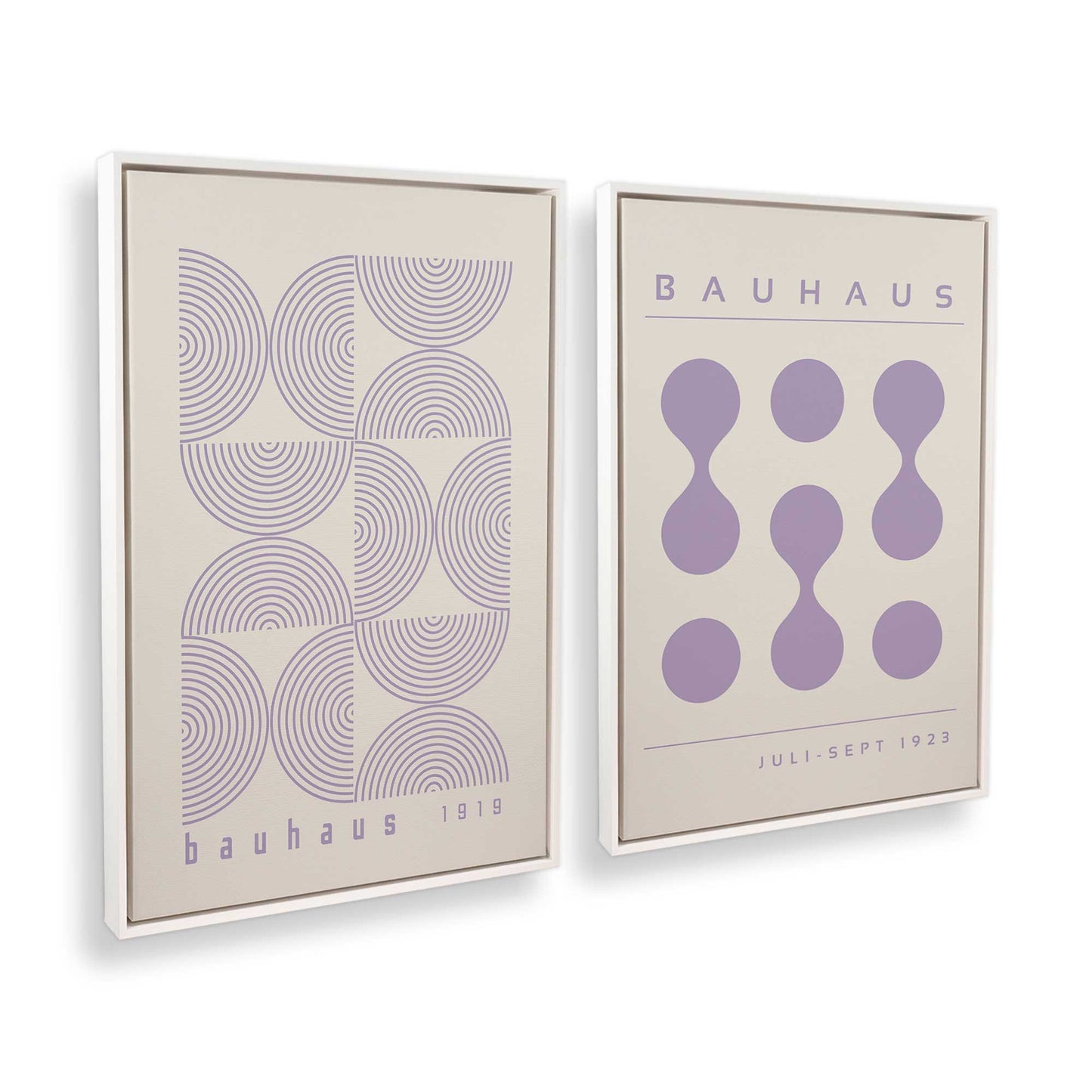[Color:Opaque White], Picture of art in a White frame at an angle