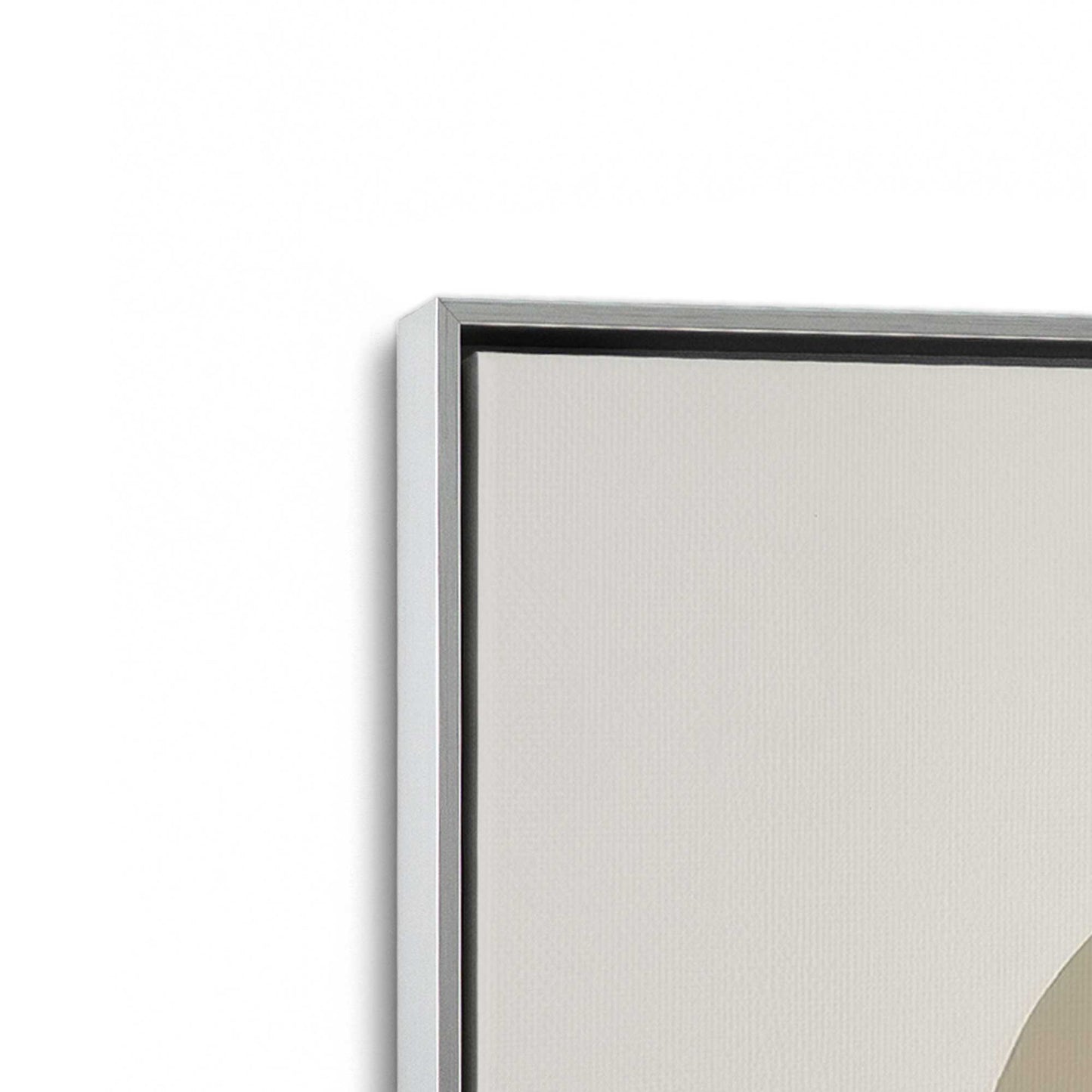 [Color:Polished Chrome], Picture of art in a Polished Chrome frame at an angle