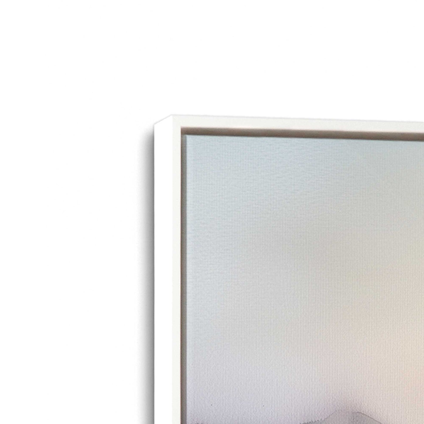 [Color:Opaque White], Picture of art in a White frame at an angle