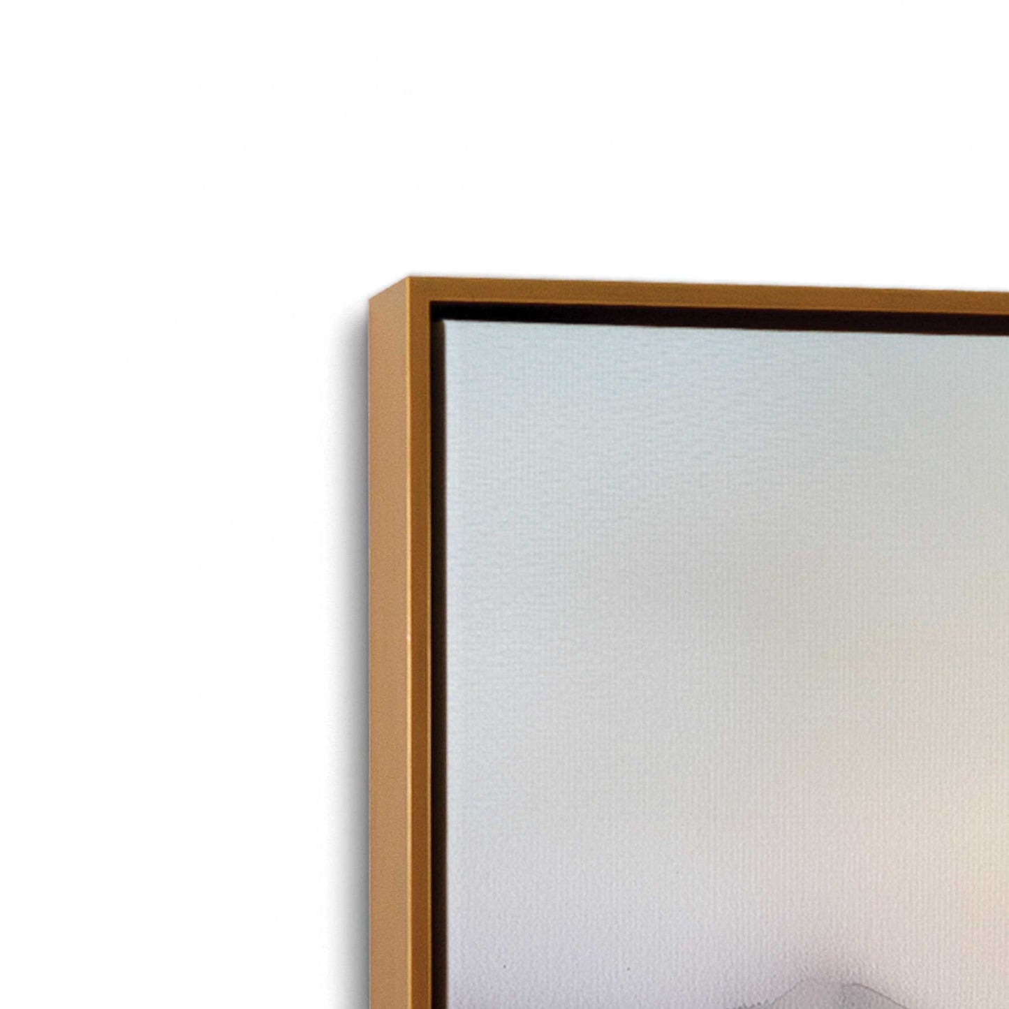 [Color:Polished Gold], Picture of art in a Polished Gold frame at an angle