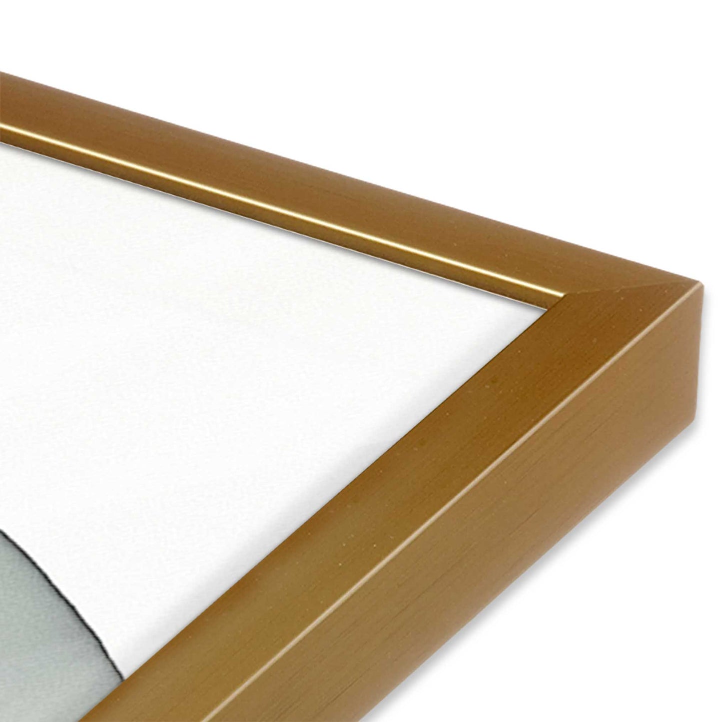 [Color:Polished Gold], Picture of art in a Polished Gold frame at an angle