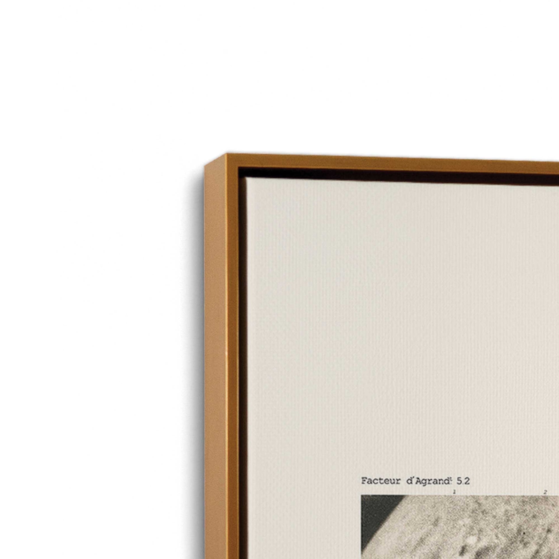 [Color:Polished Gold], Picture of art in a Polished Gold frame at an angle