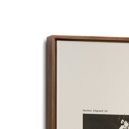 [Color:Walnut], Picture of art in a Walnut frame at an angle