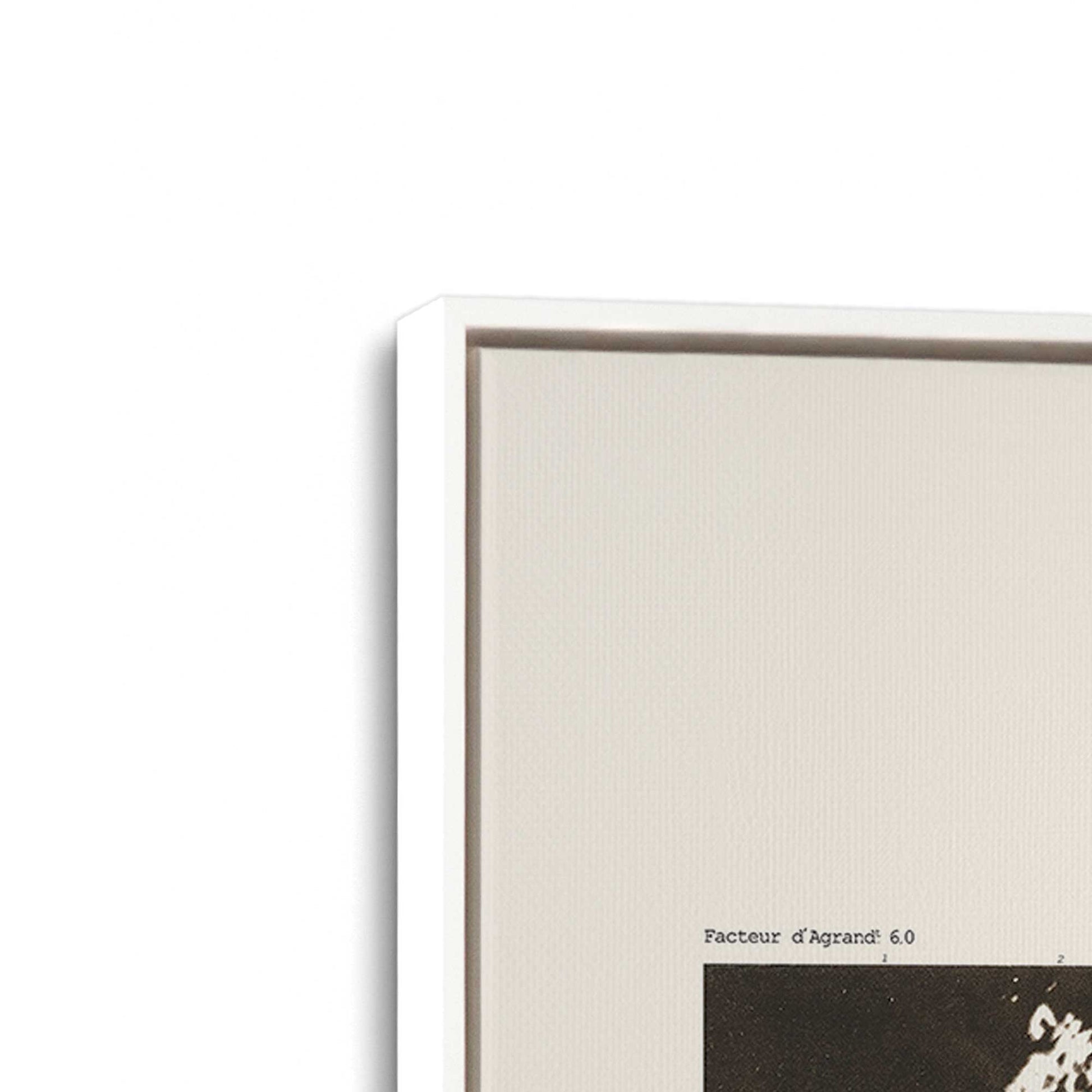 [Color:Opaque White], Picture of art in a White frame at an angle