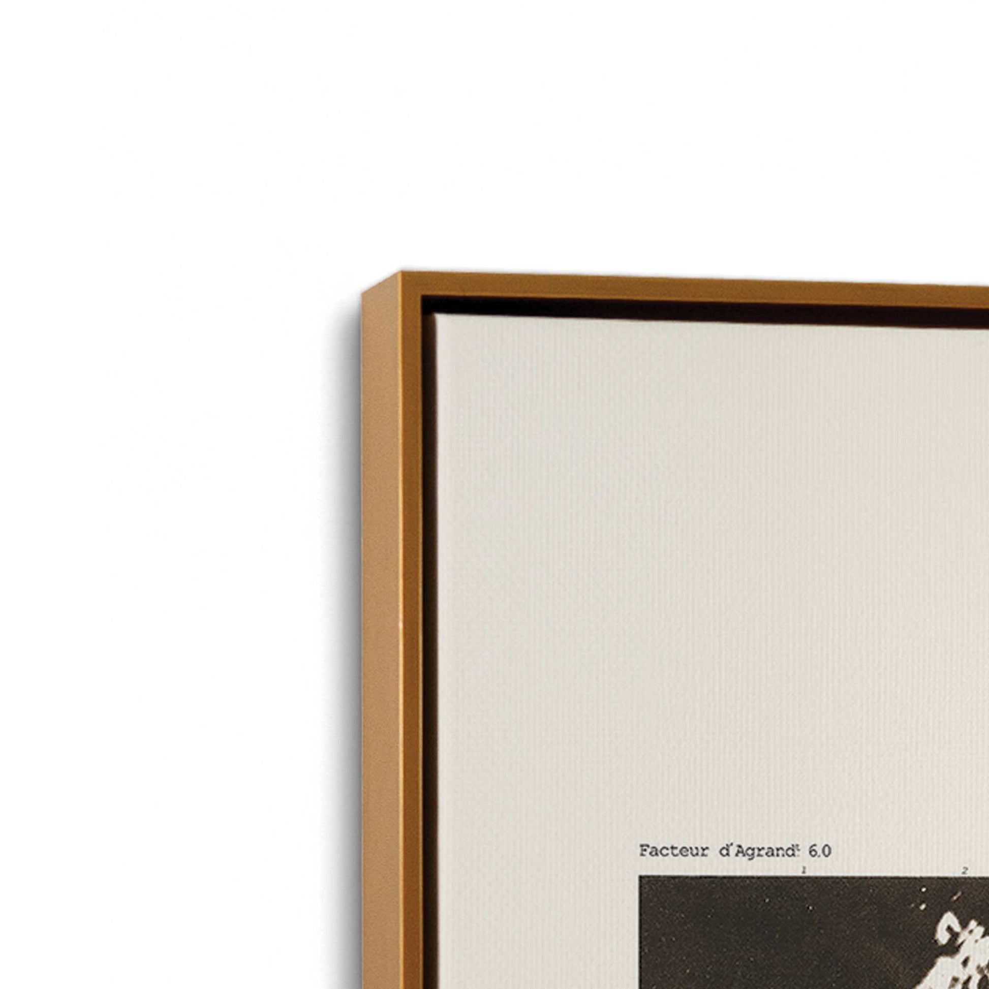 [Color:Polished Gold], Picture of art in a Polished Gold frame at an angle