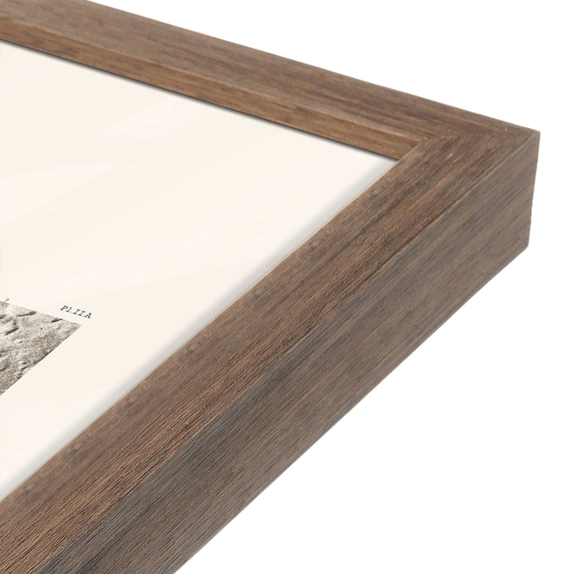 [Color:Walnut], Picture of art in a Walnut frame at an angle