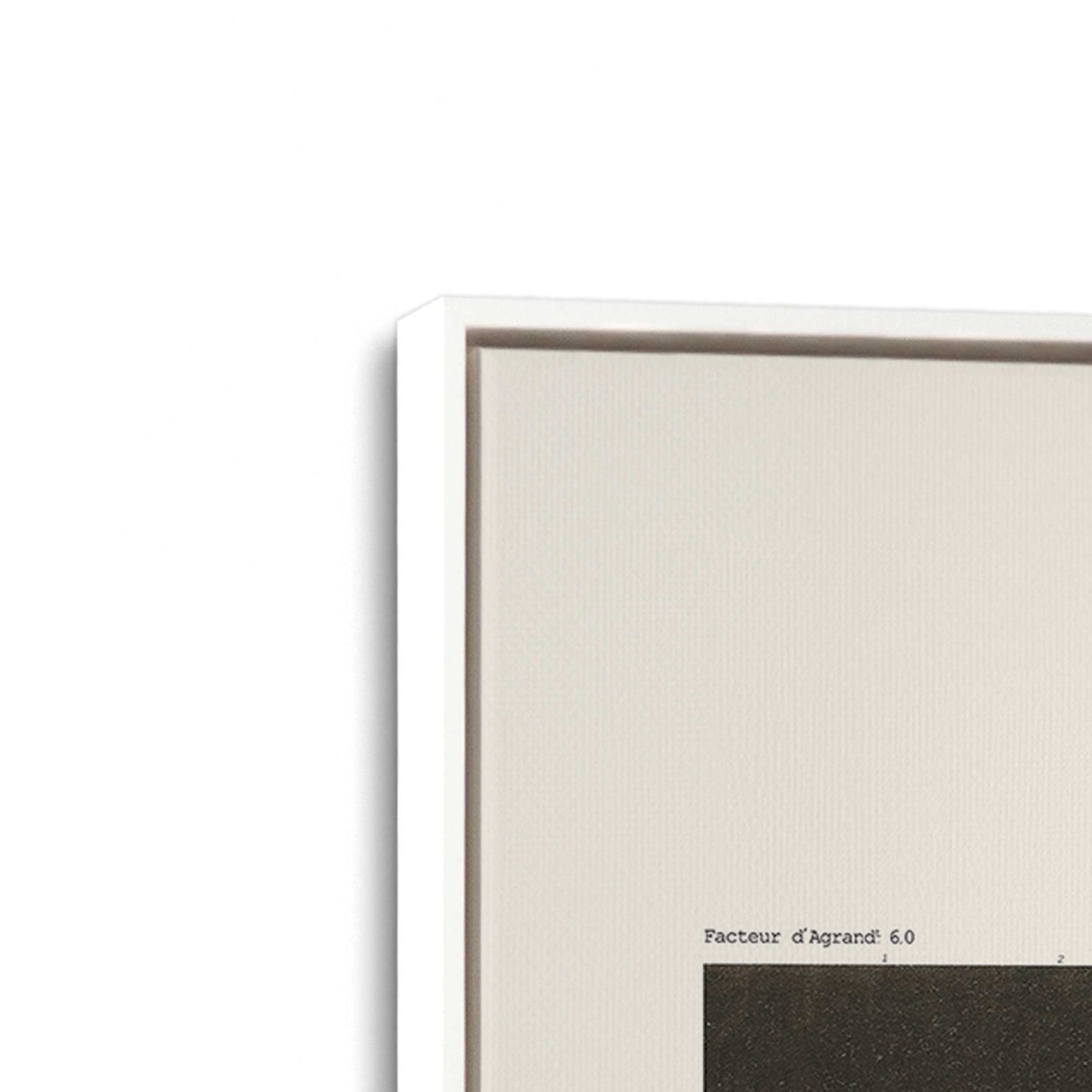 [Color:Opaque White], Picture of art in a White frame at an angle