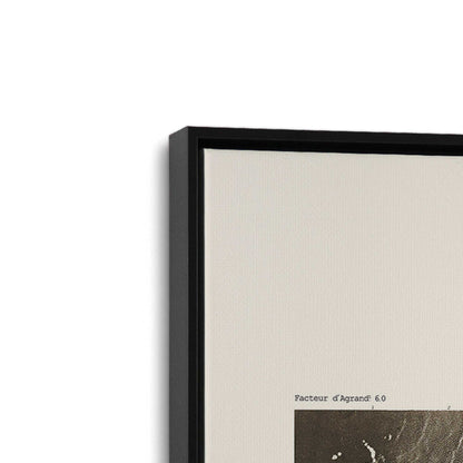 [Color:Satin Black], Picture of art in a Satin Black frame at an angle