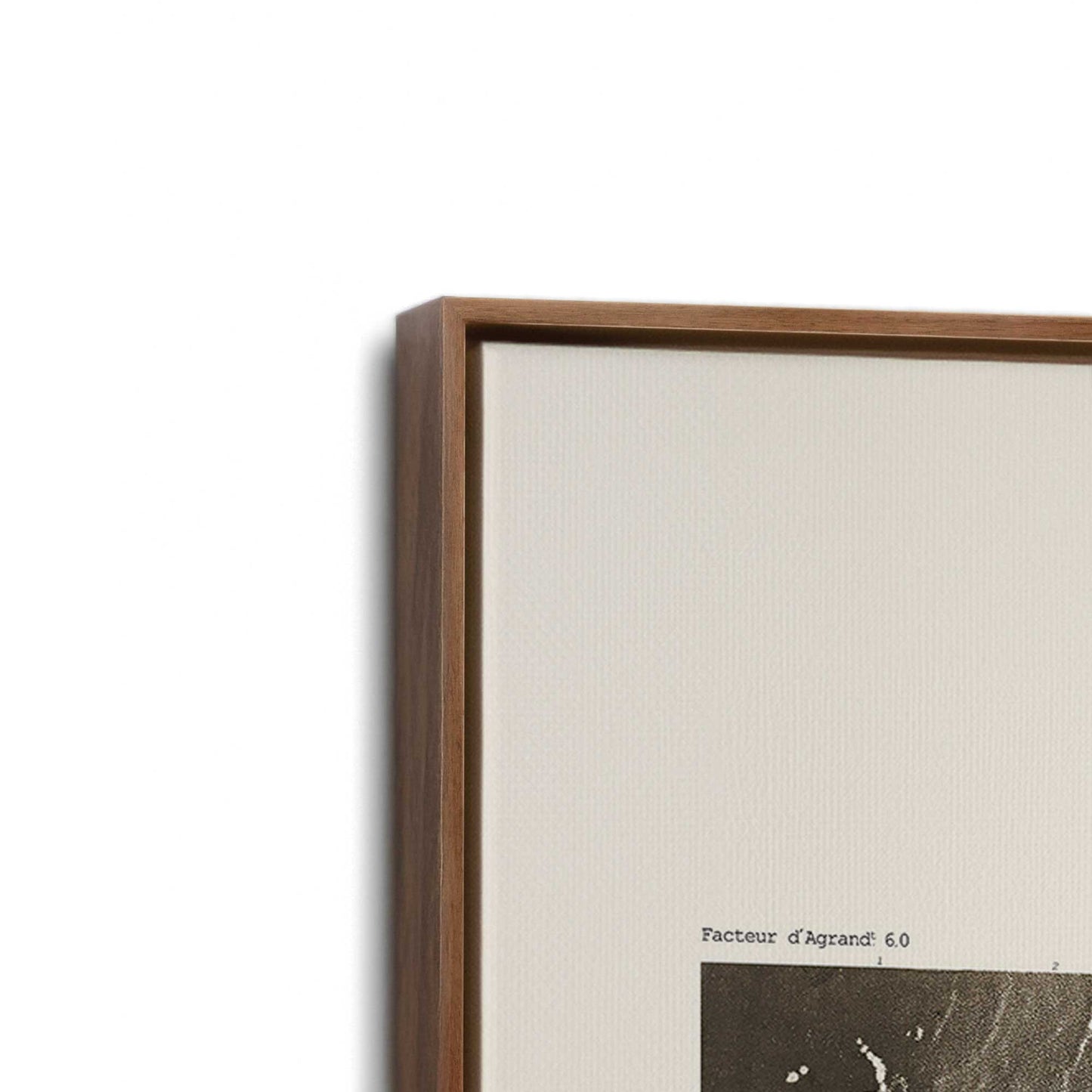 [Color:Walnut], Picture of art in a Walnut frame at an angle