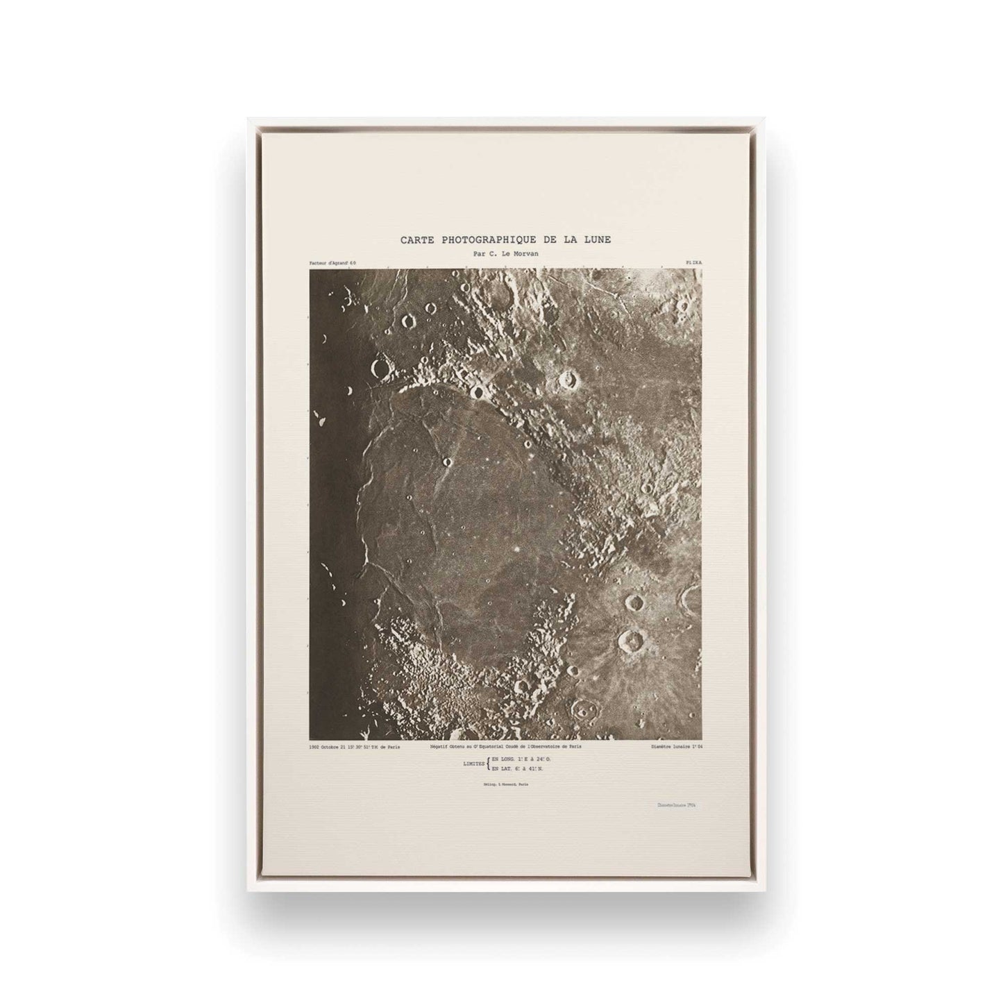 [Color:Opaque White], Picture of art in a White frame