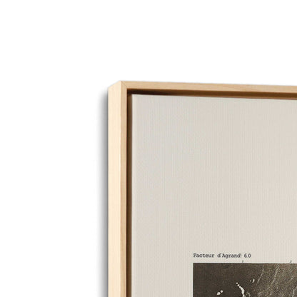 [Color:American Maple], Picture of art in a American Maple frame at an angle