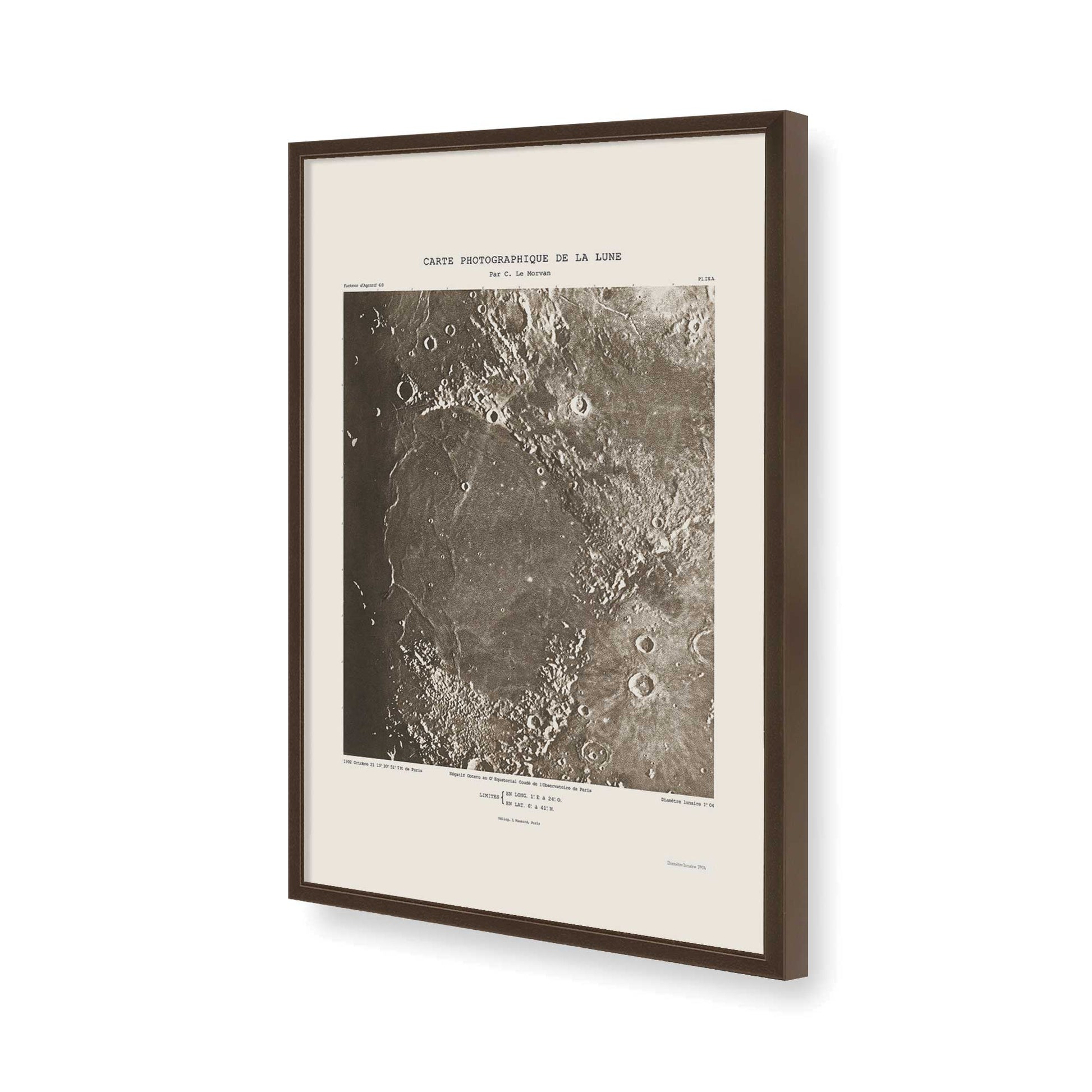 [Color:Belvinder Brown], Picture of art in a Belvinder Brown frame of the corner