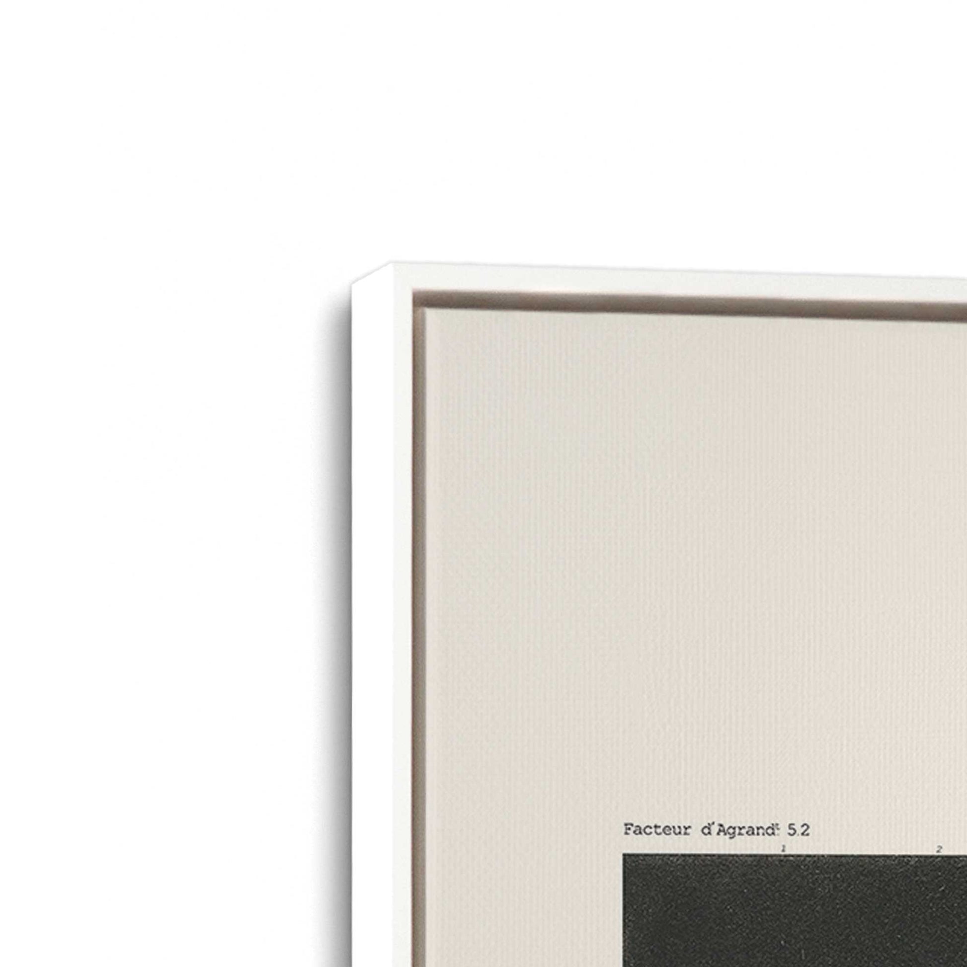 [Color:Opaque White], Picture of art in a White frame at an angle