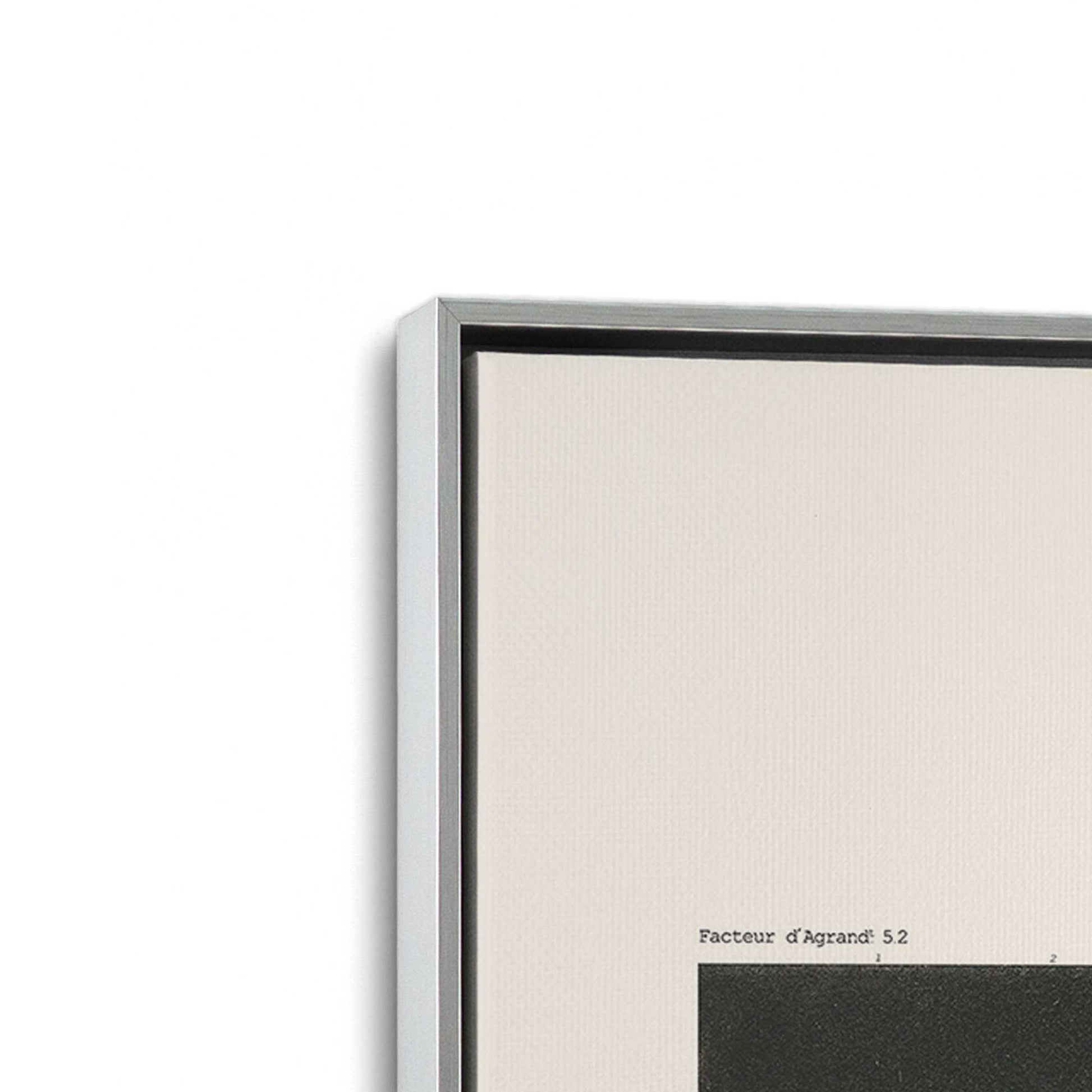 [Color:Polished Chrome], Picture of art in a Polished Chrome frame at an angle