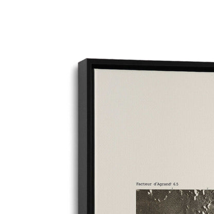 [Color:Satin Black], Picture of art in a Satin Black frame at an angle