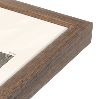 [Color:Walnut], Picture of art in a Walnut frame at an angle