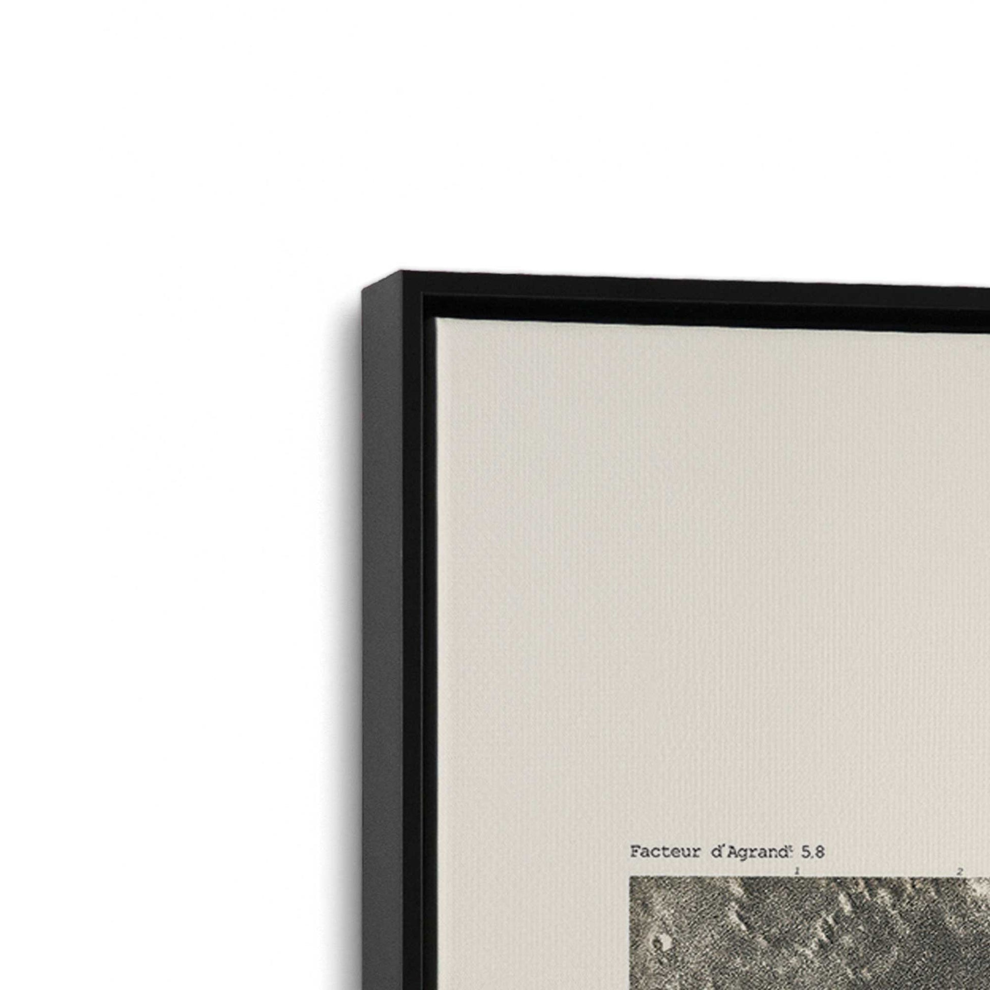 [Color:Satin Black], Picture of art in a Satin Black frame at an angle
