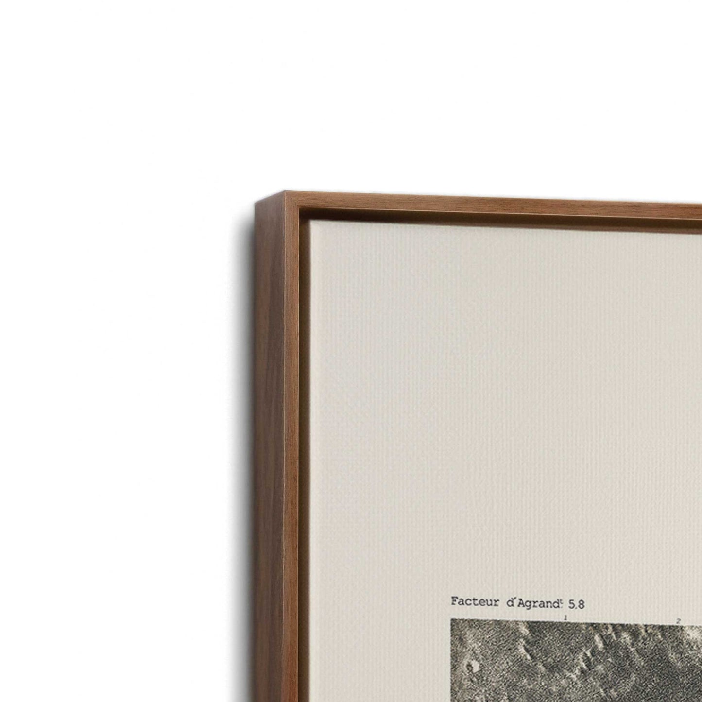 [Color:Walnut], Picture of art in a Walnut frame at an angle