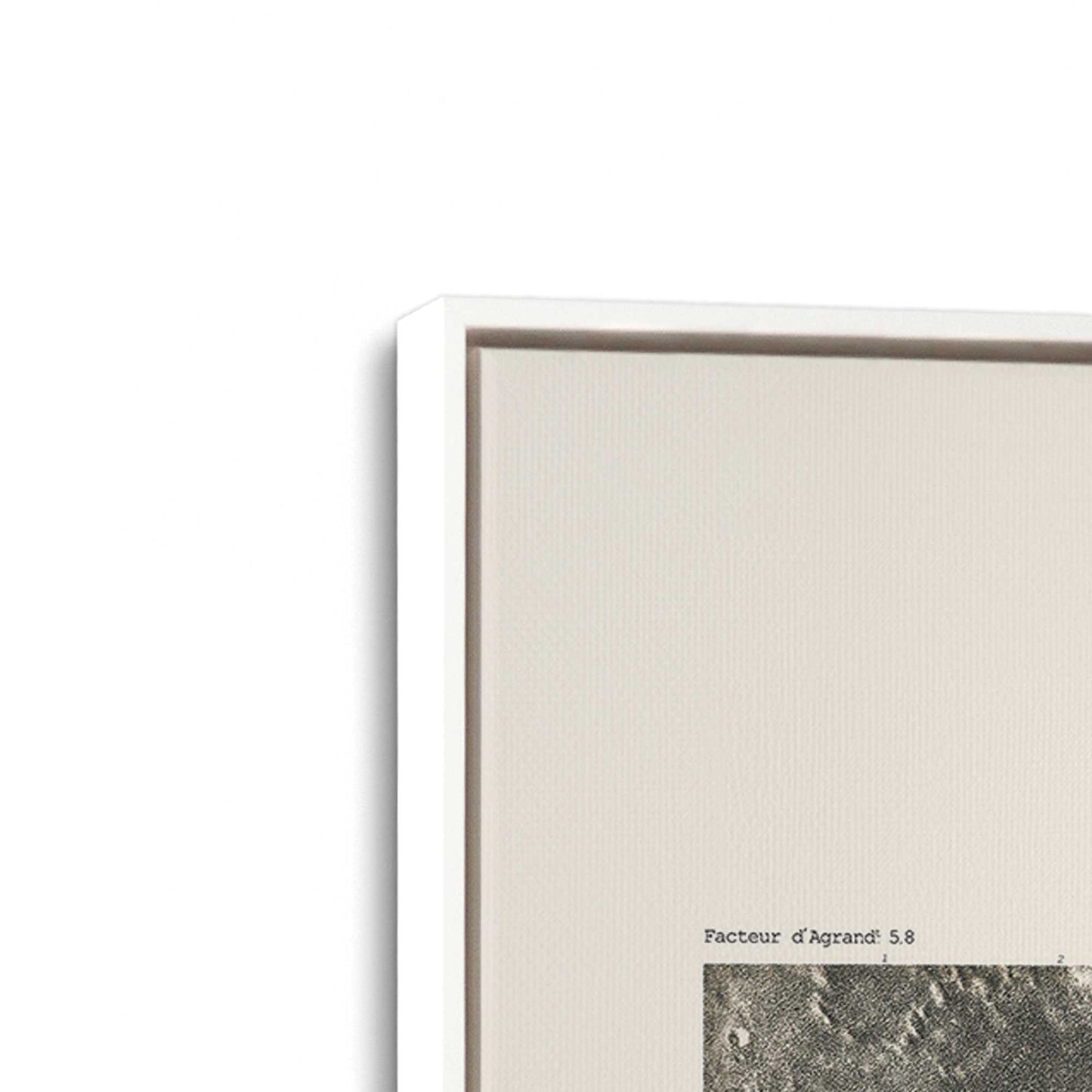 [Color:Opaque White], Picture of art in a White frame at an angle