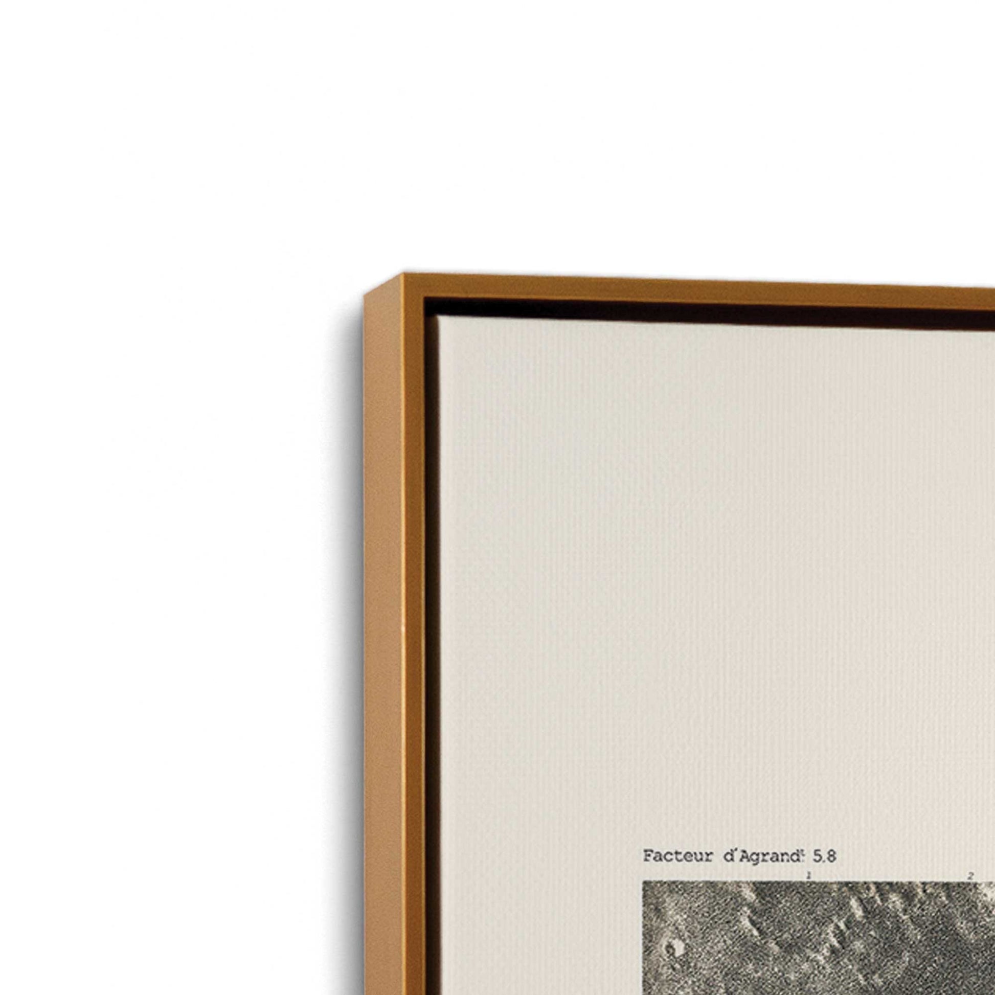 [Color:Polished Gold], Picture of art in a Polished Gold frame at an angle