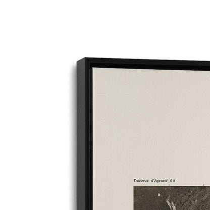 [Color:Satin Black], Picture of art in a Satin Black frame at an angle