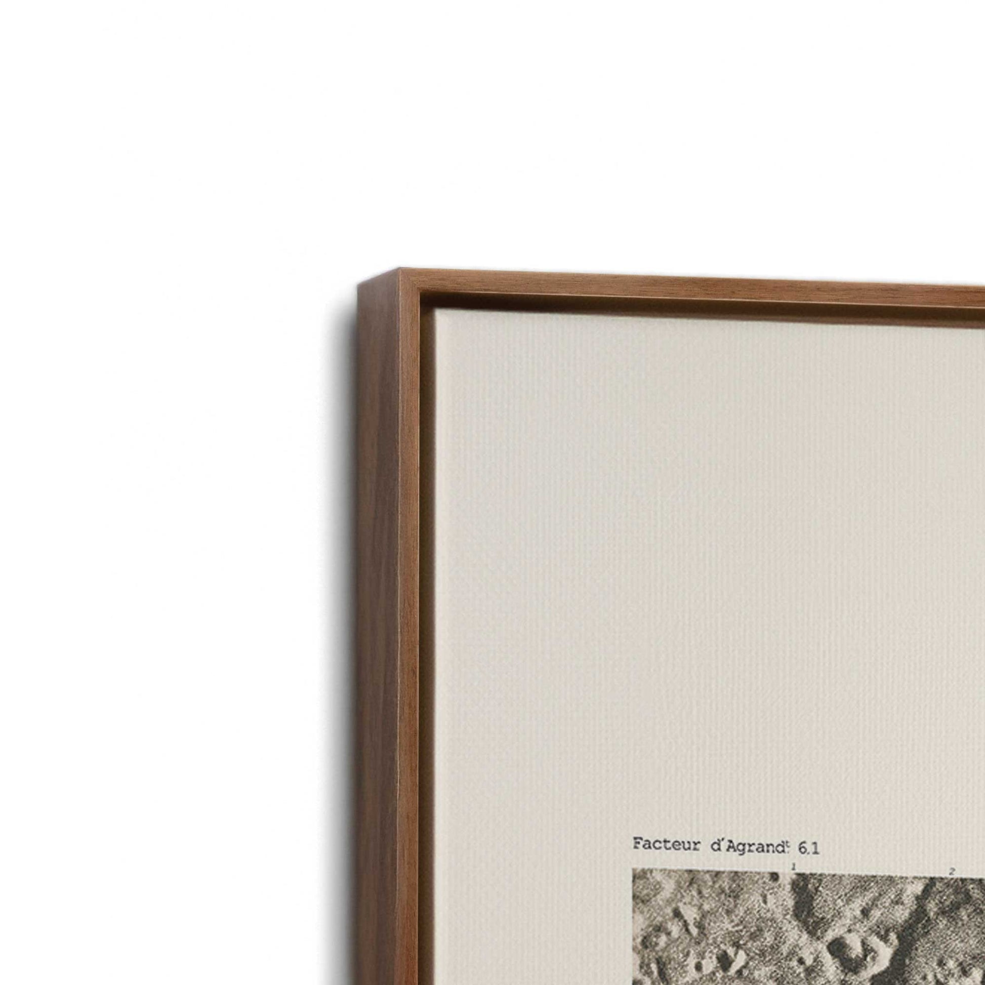 [Color:Walnut], Picture of art in a Walnut frame at an angle