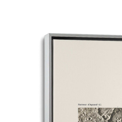 [Color:Polished Chrome], Picture of art in a Polished Chrome frame at an angle