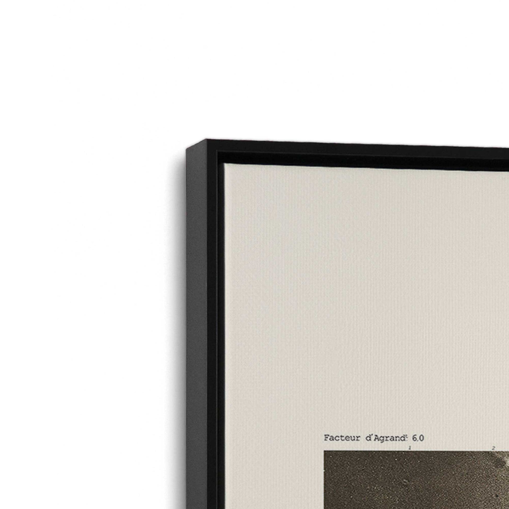 [Color:Satin Black], Picture of art in a Satin Black frame at an angle