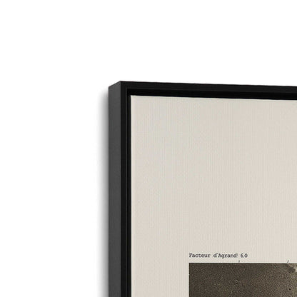 [Color:Satin Black], Picture of art in a Satin Black frame at an angle