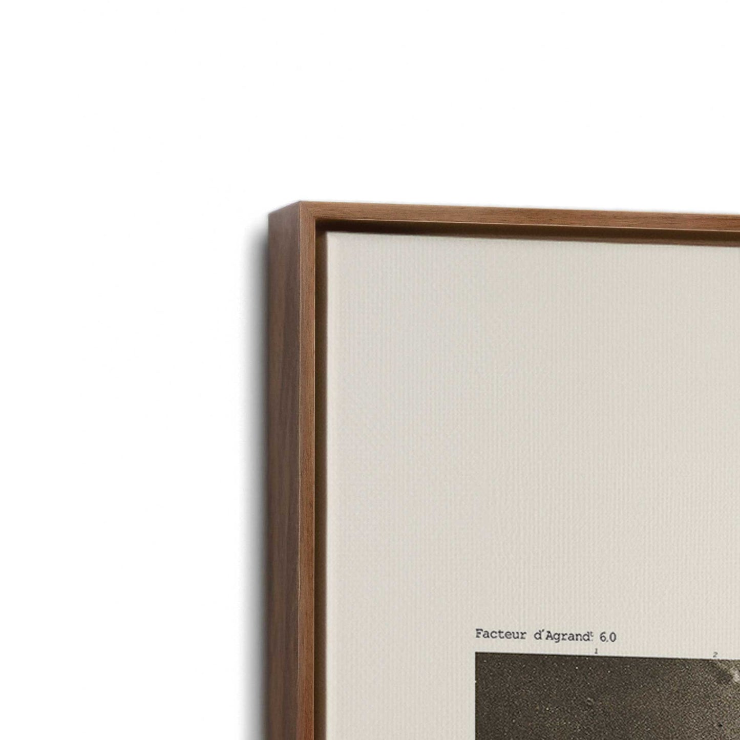 [Color:Walnut], Picture of art in a Walnut frame at an angle