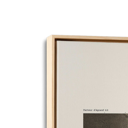 [Color:American Maple], Picture of art in a American Maple frame at an angle