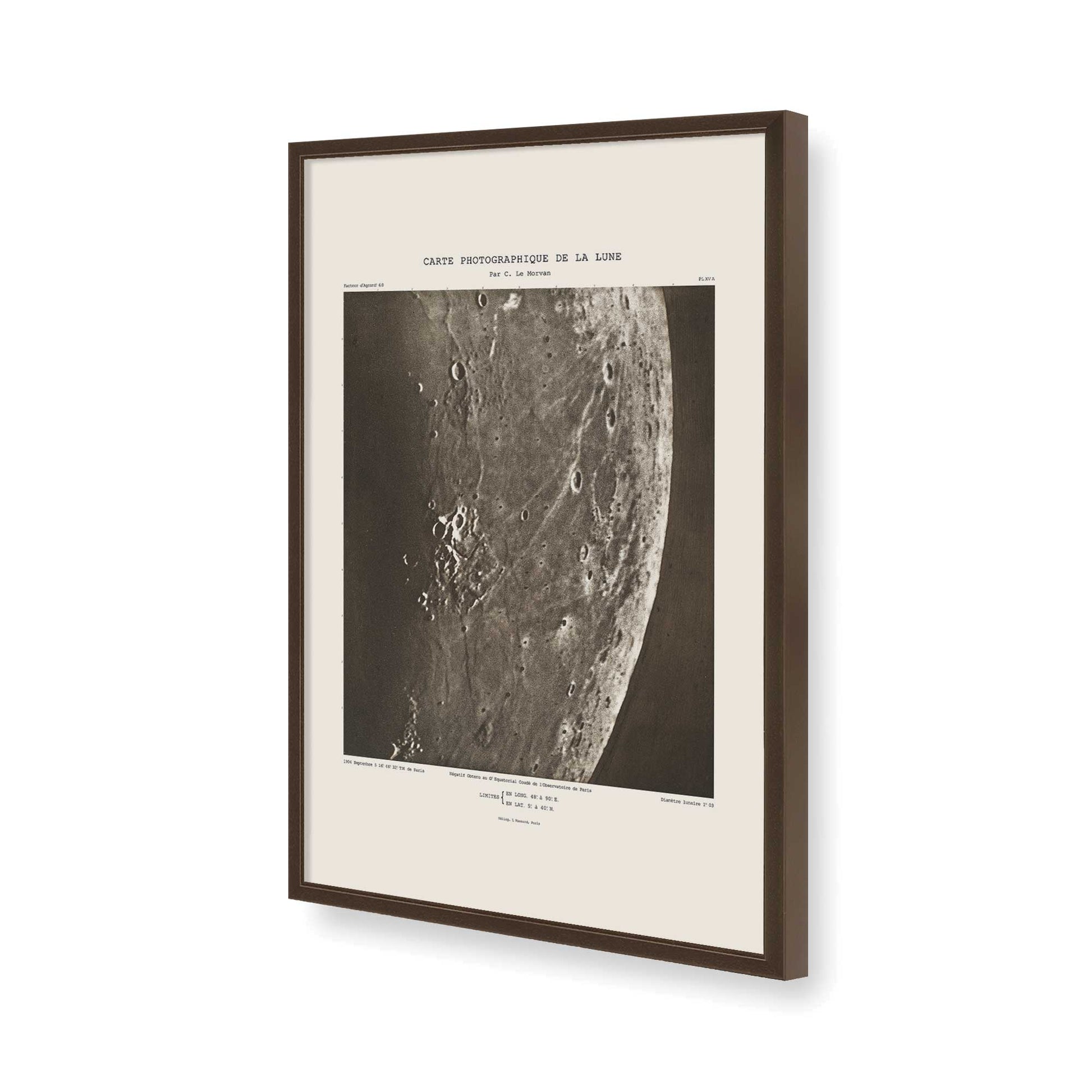 [Color:Belvinder Brown], Picture of art in a Belvinder Brown frame of the corner