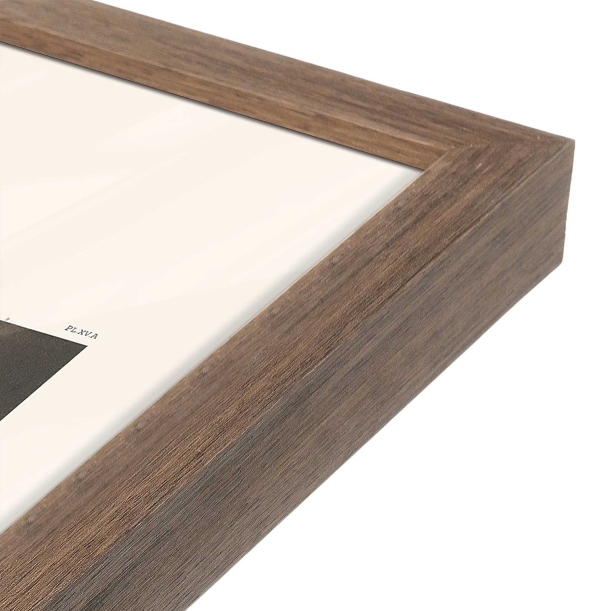 [Color:Walnut], Picture of art in a Walnut frame at an angle