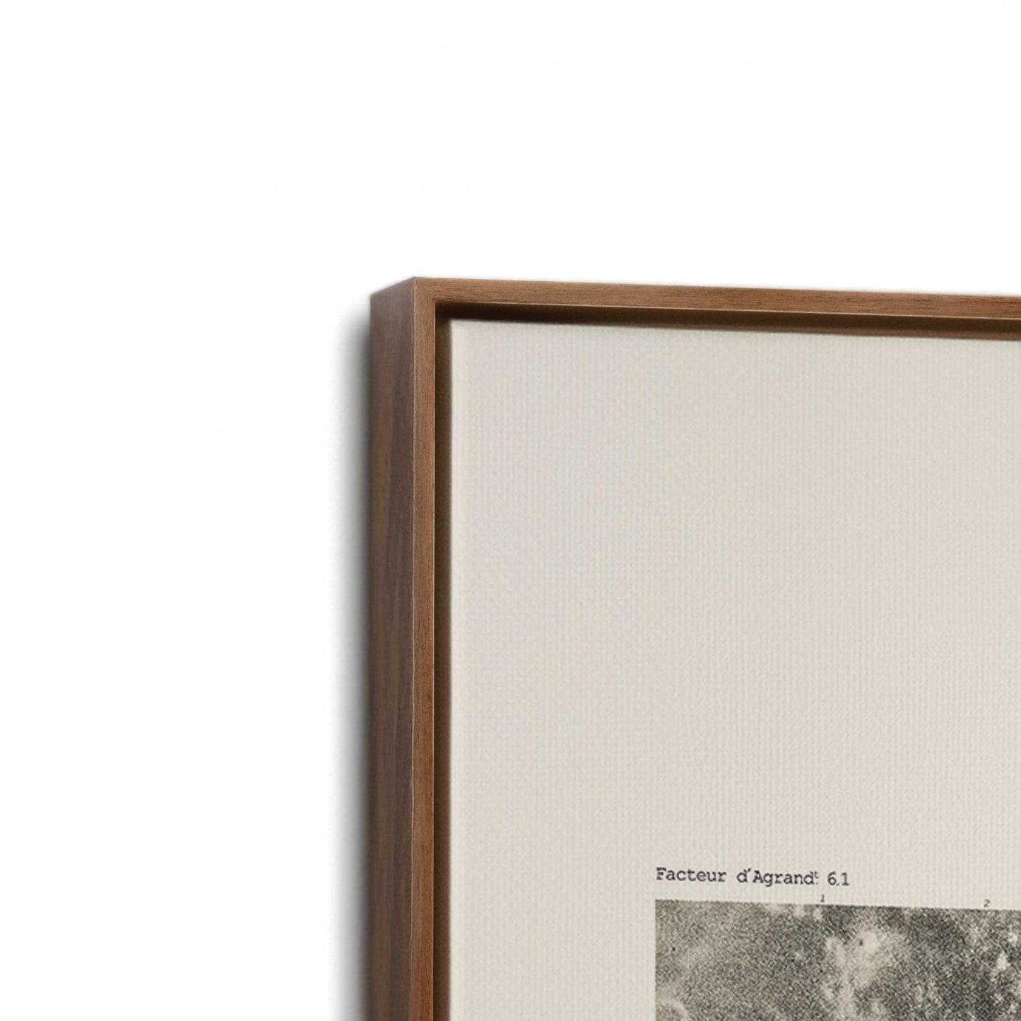 [Color:Walnut], Picture of art in a Walnut frame at an angle