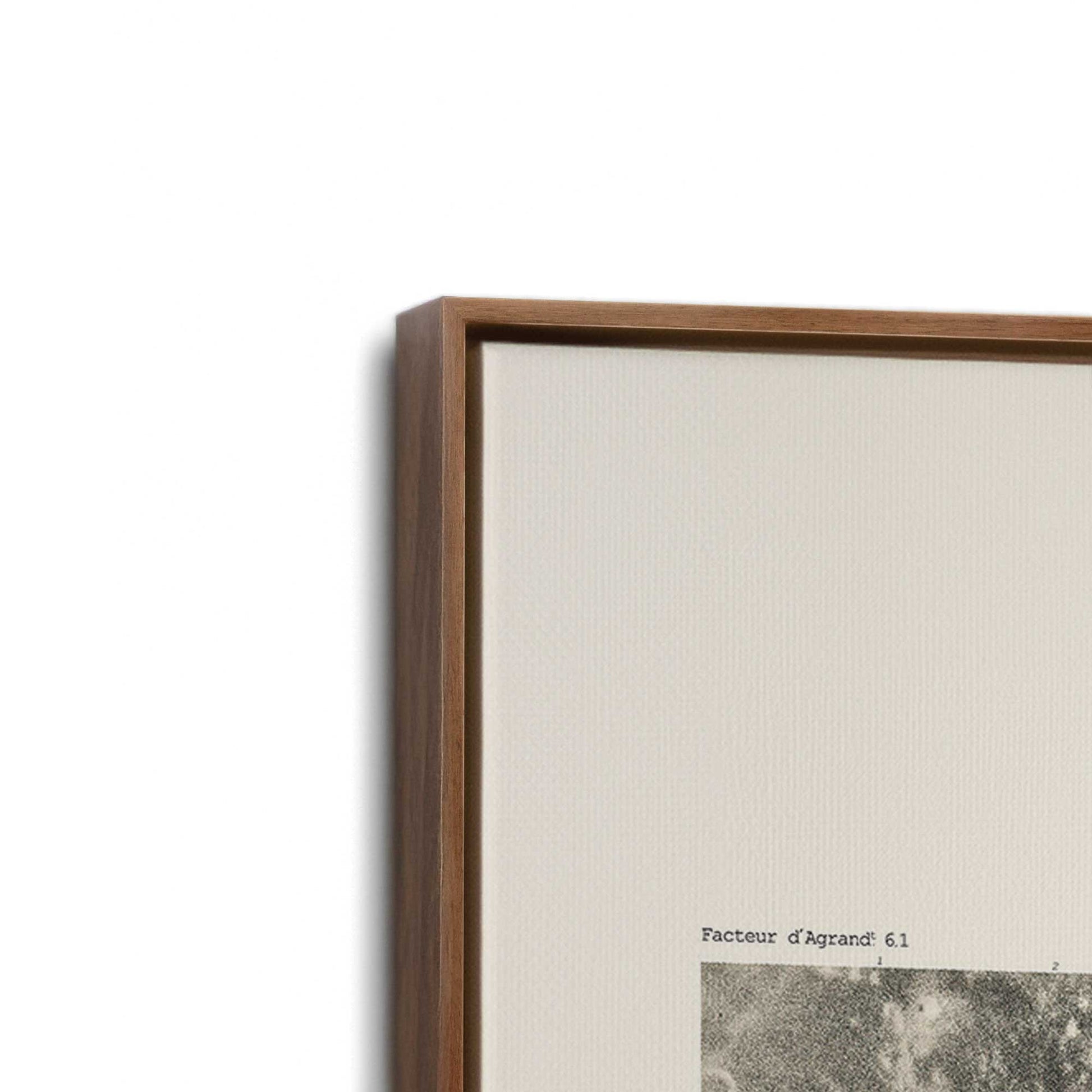 [Color:Walnut], Picture of art in a Walnut frame at an angle