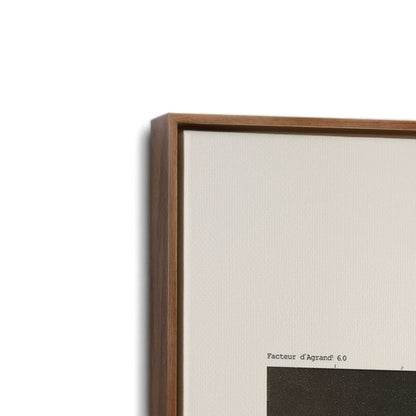 [Color:Walnut], Picture of art in a Walnut frame at an angle