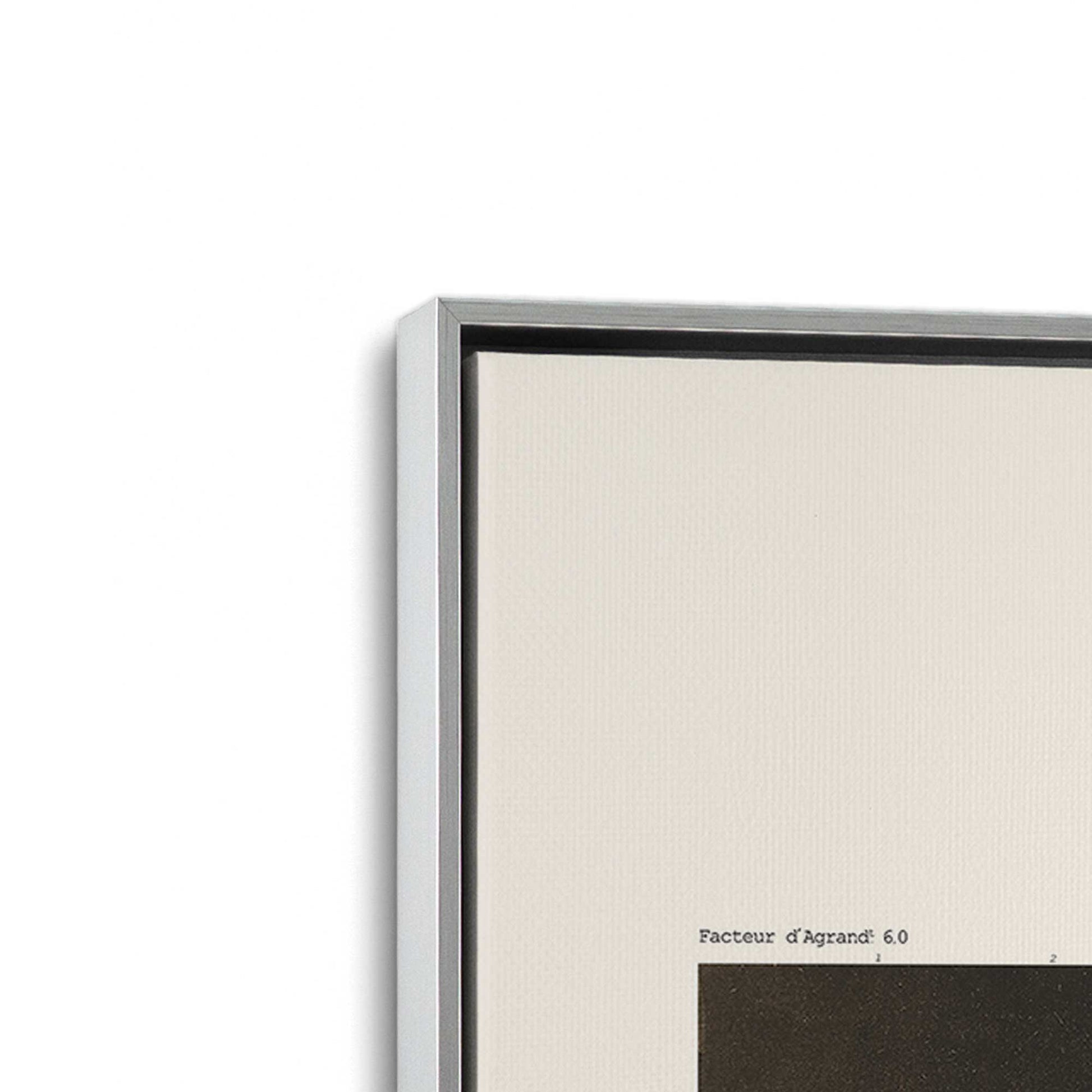 [Color:Polished Chrome], Picture of art in a Polished Chrome frame at an angle