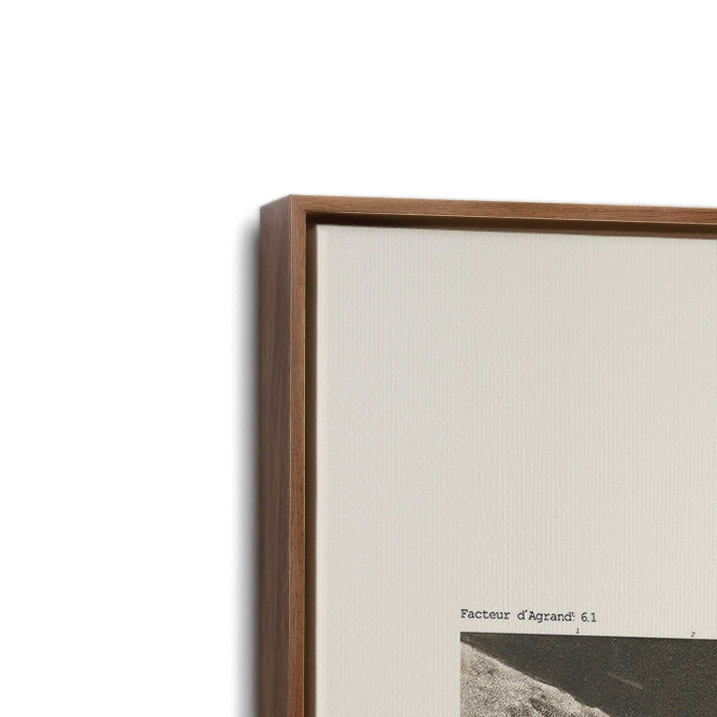 [Color:Walnut], Picture of art in a Walnut frame at an angle