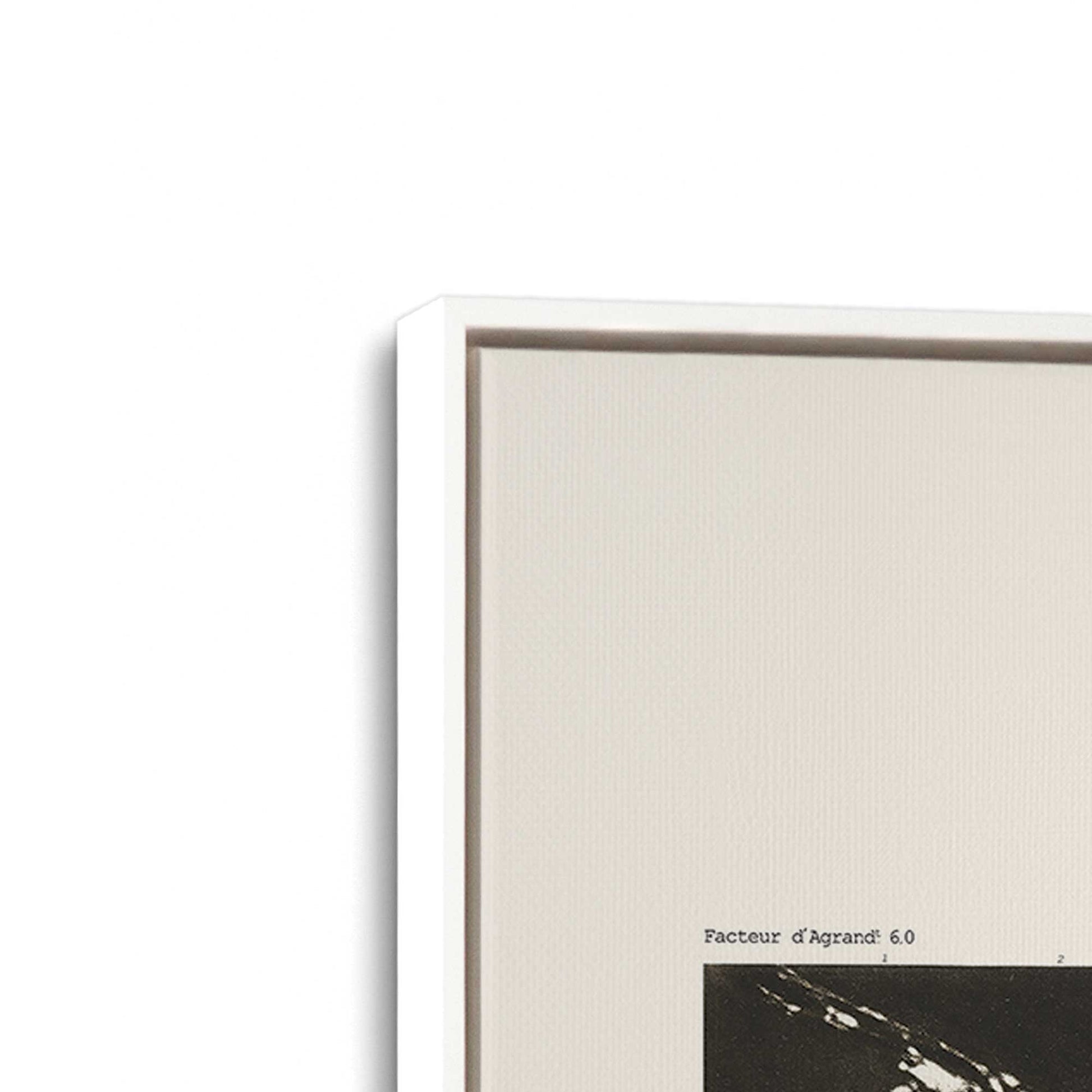[Color:Opaque White], Picture of art in a White frame at an angle