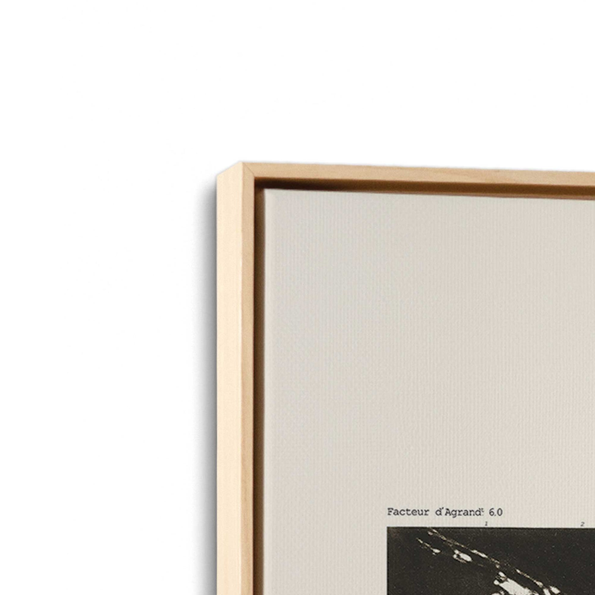[Color:American Maple], Picture of art in a American Maple frame at an angle