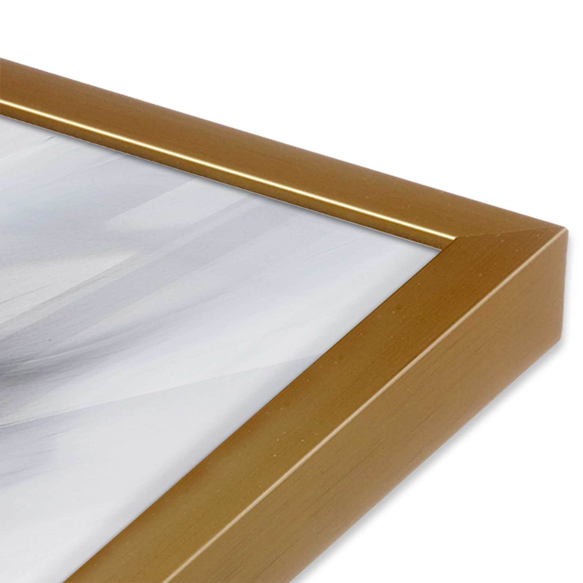 [Color:Polished Gold], Picture of art in a Polished Gold frame at an angle