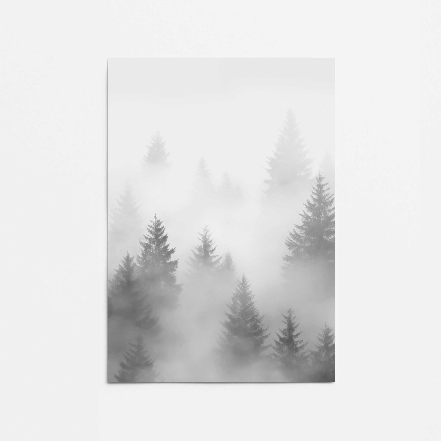 Foggy Echoes I Promotional Rolled Print