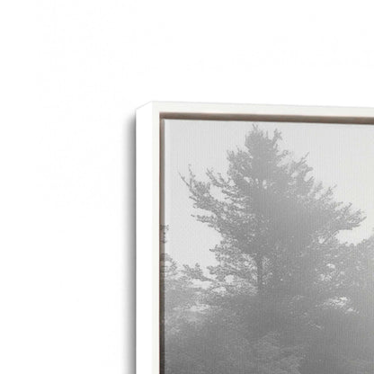 [Color:Opaque White], Picture of art in a White frame at an angle