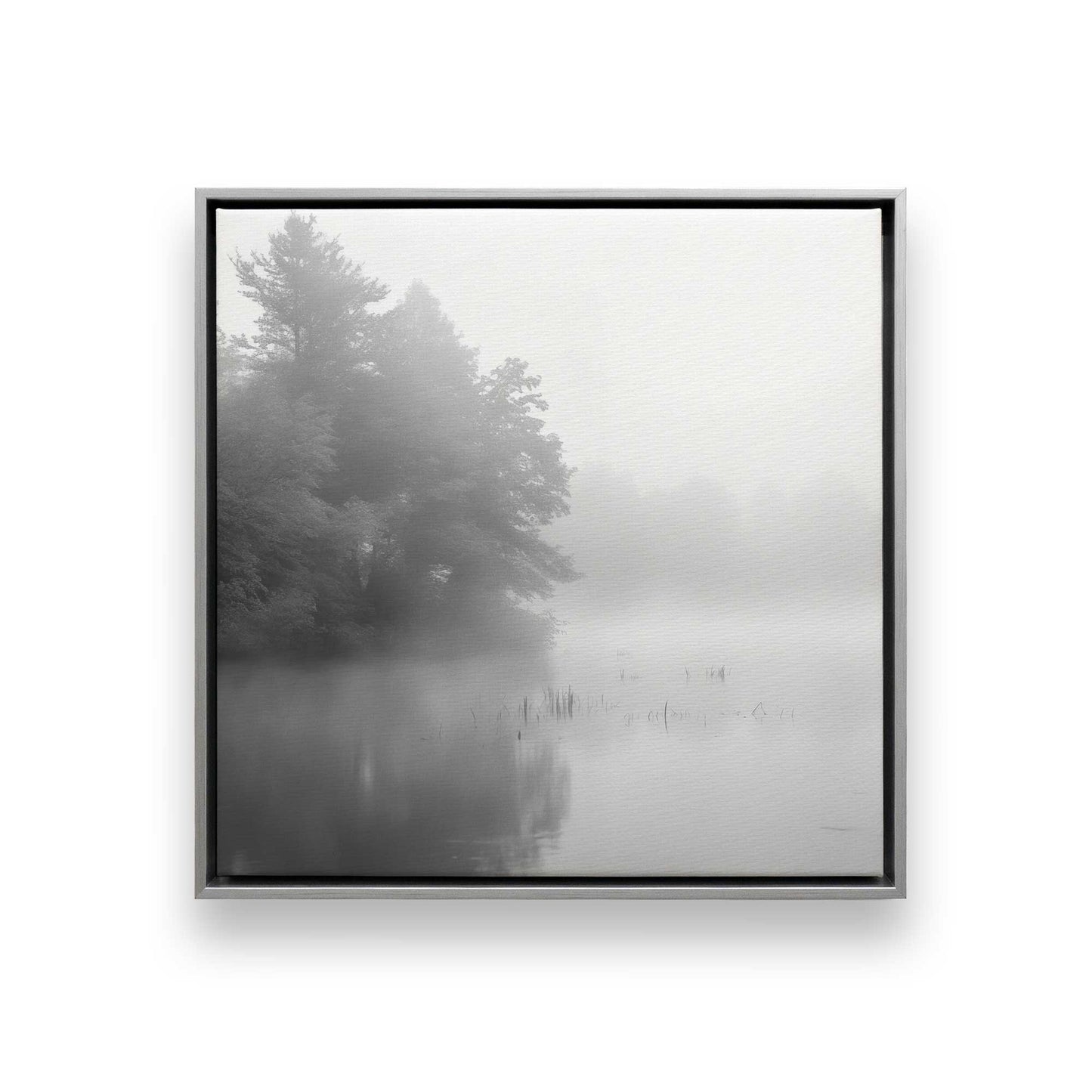 [Color:Opaque White], Picture of art in a White frame