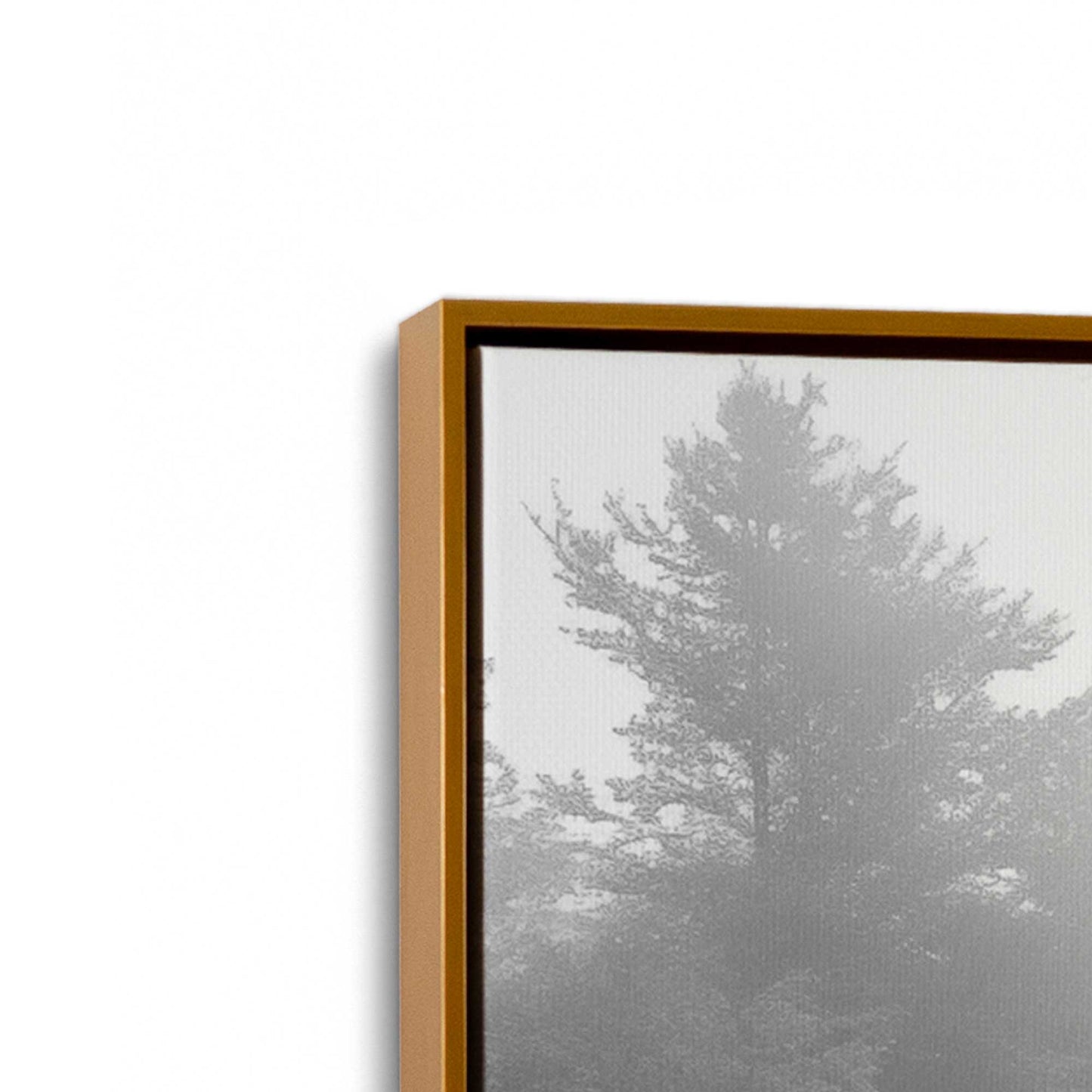 [Color:Polished Gold], Picture of art in a Polished Gold frame at an angle