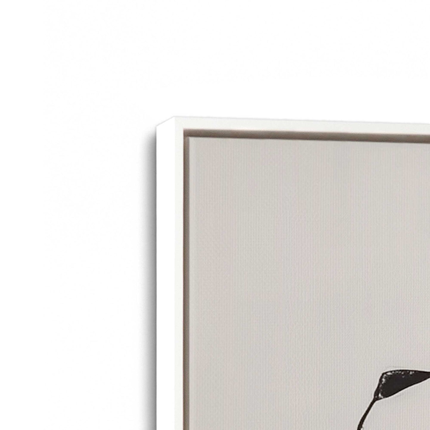 [Color:Opaque White], Picture of art in a White frame at an angle