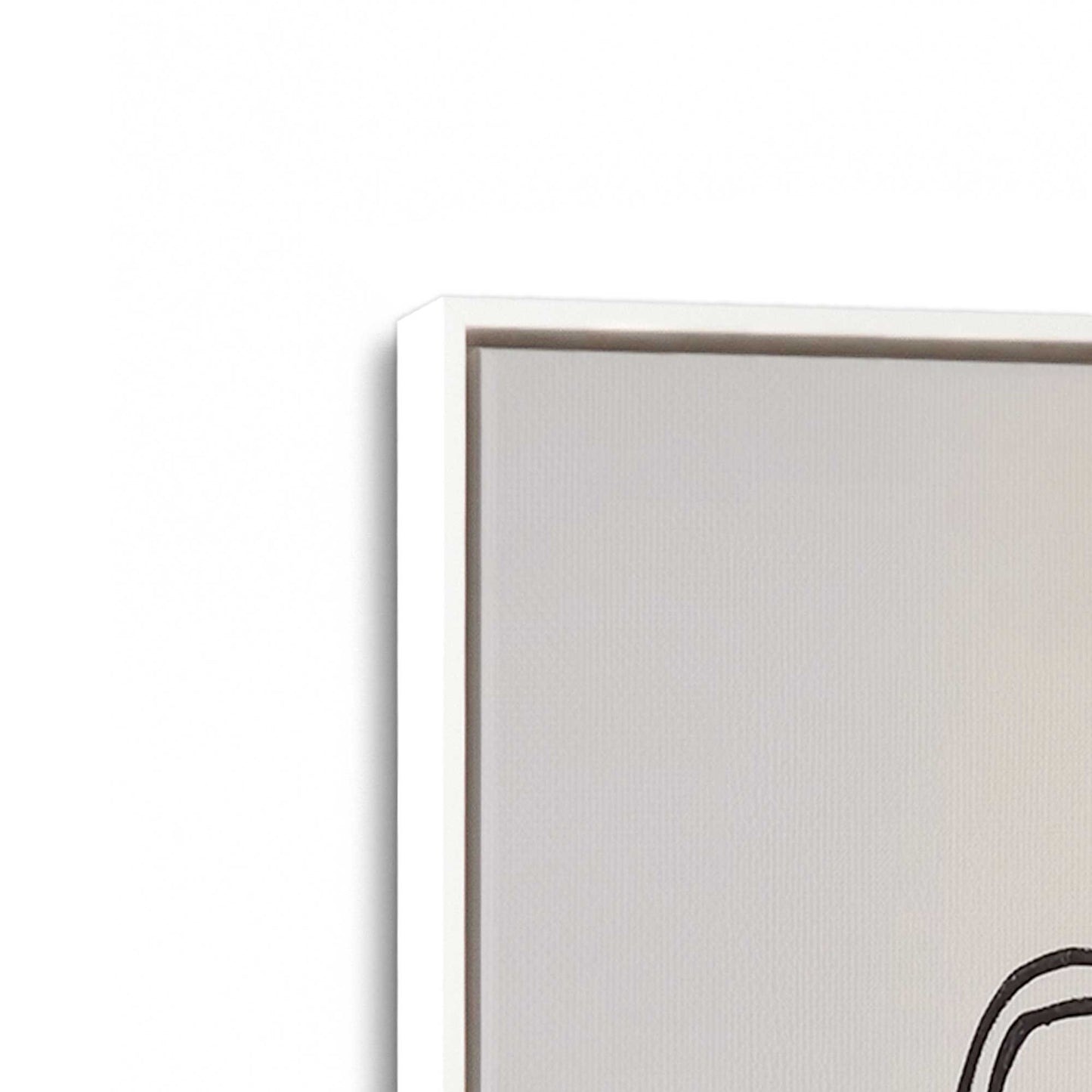 [Color:Opaque White], Picture of art in a White frame at an angle