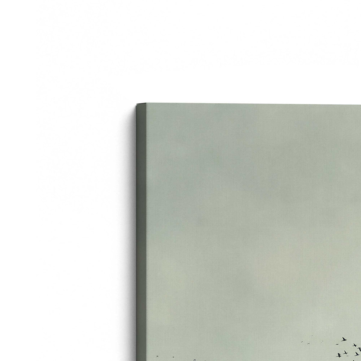 [Color:Stretched Canvas], Picture of the corner of the art